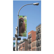 Street Pole Banner